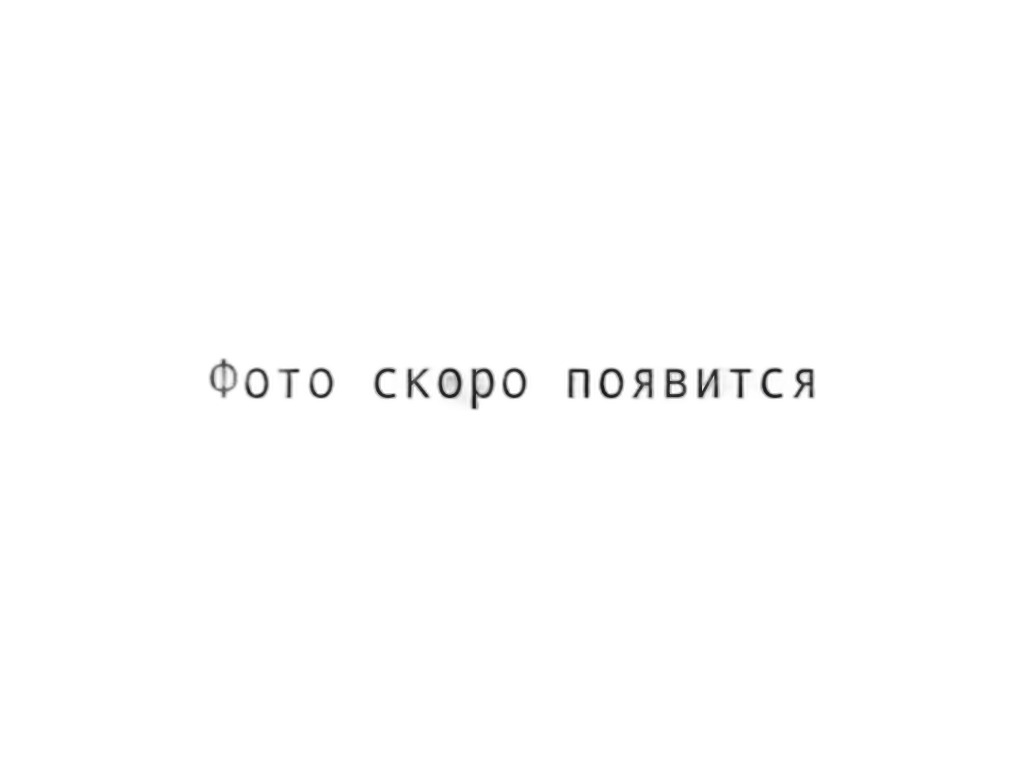 Кольцо уплотнительное КАМАЗ 54901 дв.910, 920 (Р6), силикон зелёный (СТР 910.10-1303 124-10) СТРОЙМАШ АО, г.Чебоксары, артикул СТР 910.10-1303124-10 — фото автозапчасти