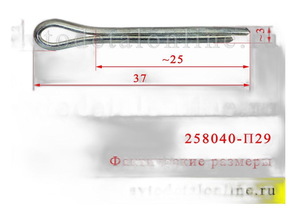 Шплинт 3,2х25 шарнира верх ГАЗ 24 (упак. 50 шт.) ( 08429) РЗИ г.Н.Новгород, артикул 258040-п29 — фото автозапчасти