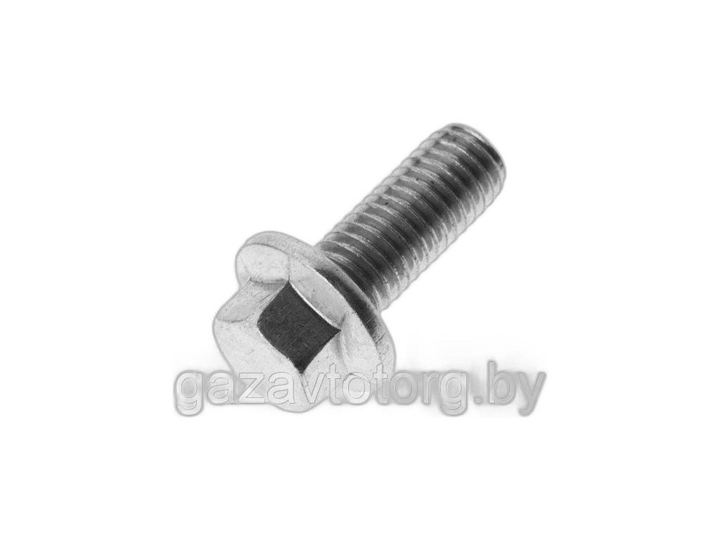 Болт пальца направл. суппорта ГАЗ 3110, 3302 (М8х20) (упак. 20 шт) (20697) РЗИ г.Н.Новгород, артикул 3105-3501225 — фото автозапчасти