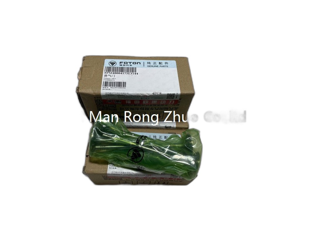 Пружина клапана G21A ГАЗель NEXT, ГАЗель NN FOTON, артикул PM40004174 — фото автозапчасти
