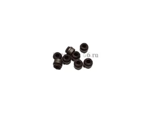 Фото 1