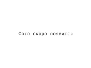 Кольцо уплотнительное КАМАЗ 54901 дв.910, 920 (Р6), силикон зелёный (СТР 910.10-1303 124-10), артикул СТР 910.10-1303124-10