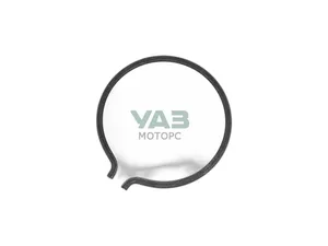 Кольцо КПП Волга, Газель, Соболь стопорное подшипника вторичного вала, артикул 24-1701192-10