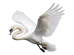 Втулка удлинителя КПП-5 ГАЗель, Волга ГАЗ Оригинал Дайдо Металл Русь — ракурс 2