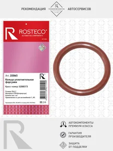 Кольцо уплотнительное ГАЗ, FOTON, форсунки (20х2,7) FPM. 5288373 "ROSTECO" — ракурс 1