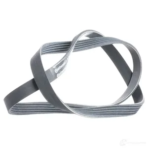 Ремень 1219 5PK CITROEN, PEUGEOT, FIAT, MITSUBISHI, SMART, TOYOTA, SKODA, VW, JEEP, артикул 5PK1219